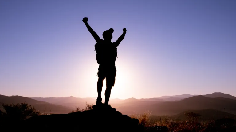 seo king of the hill